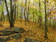 Steine im Herbst