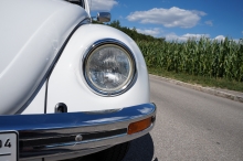 VW-Käfer am Maisfeld