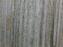Holzbrett grau braun