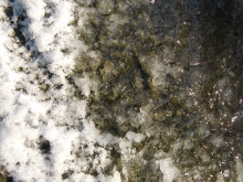 Stein mit Eis und Schnee