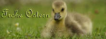 Frohe Ostern Küken FB-Banner 851x315