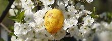Frohe Ostern 2023-851x315