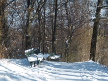 Stahlparkbank am winterlichen Parkweg