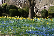 Frühlingfarben im Westpark