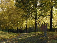 Herbstweg im Westpark