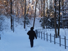 Winterspaziergang im Park