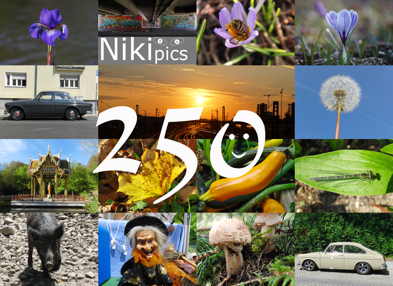 Nikipics-250
