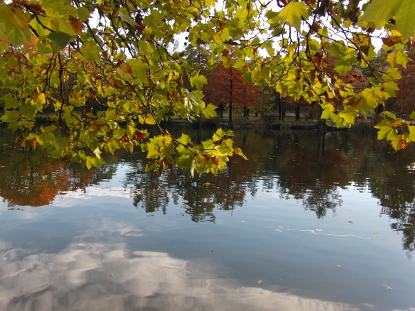 Herbst am See im Park