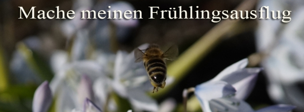 Biene Frühlingsausflug 851x315