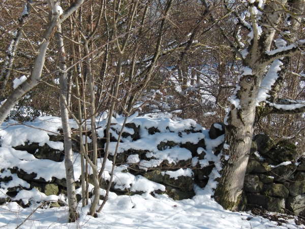 Kleine Mauer im Winter