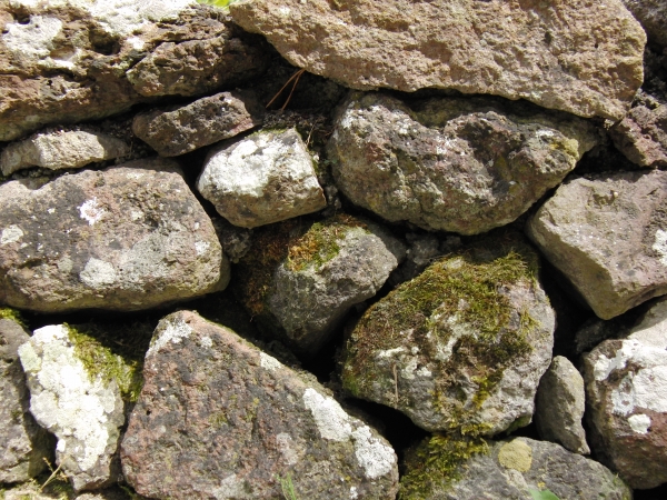 Trockenmauer mit Naturstein